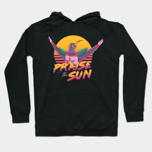 Praise the sun Hoodie